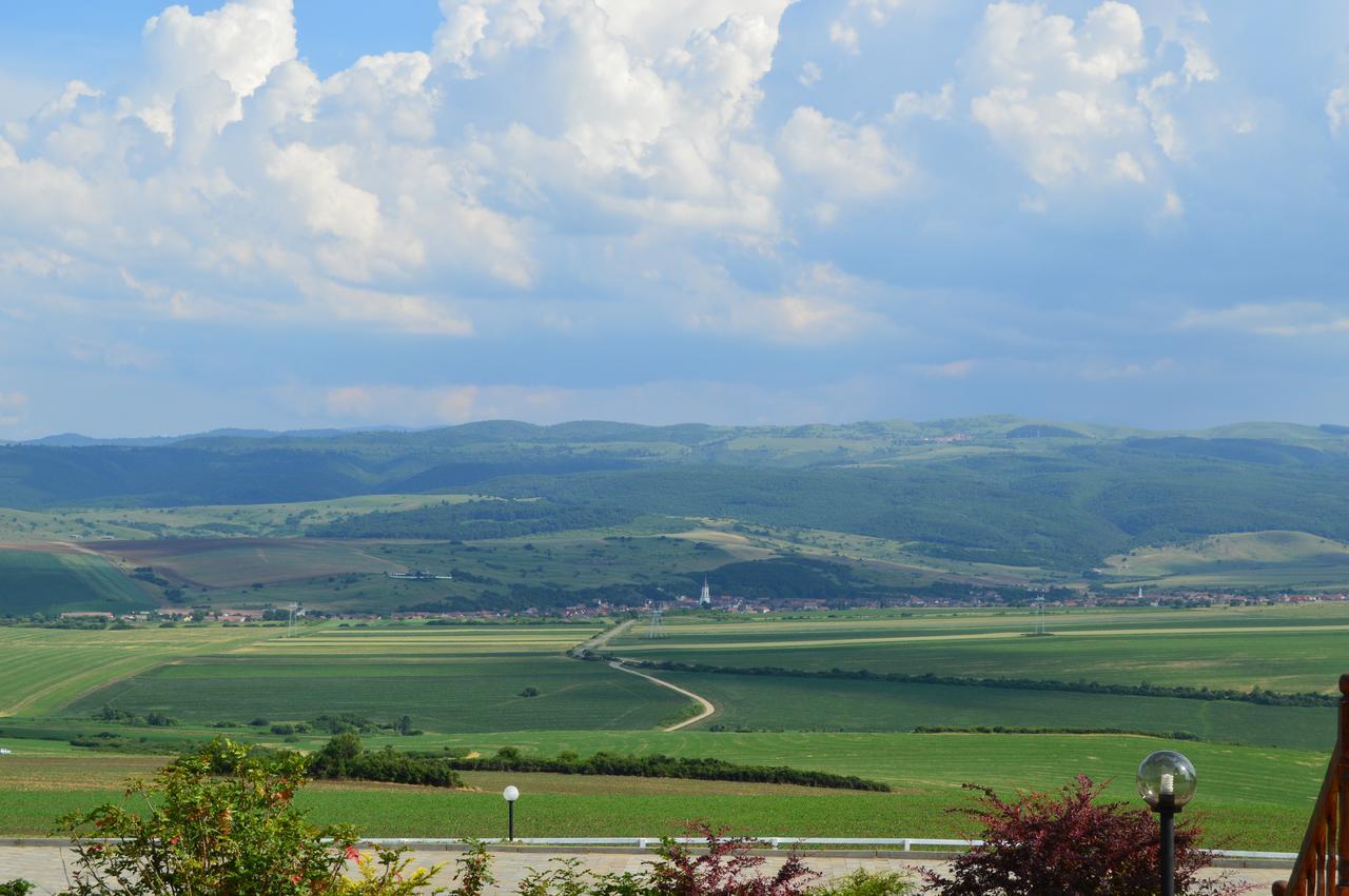 Pensiunea Casa Buna Girbova Экстерьер фото